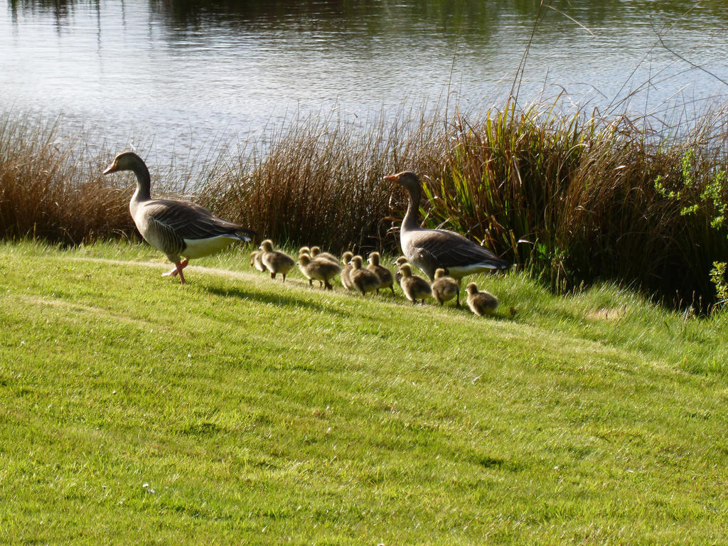 London Beach Country Hotel & Golf Club Tenterden Exteriér fotografie